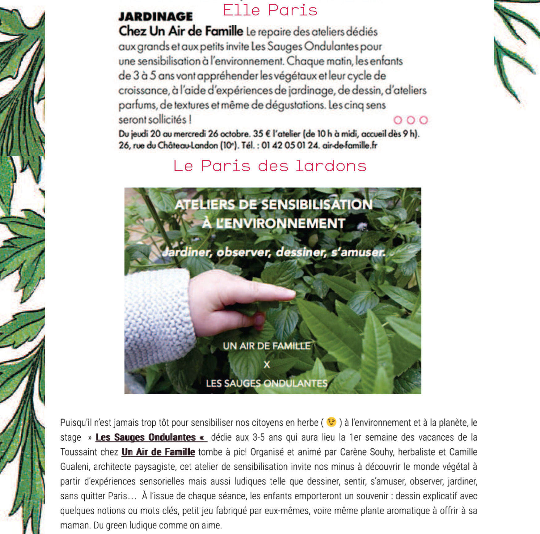 Articles : Elle Paris et des Petits Lardons