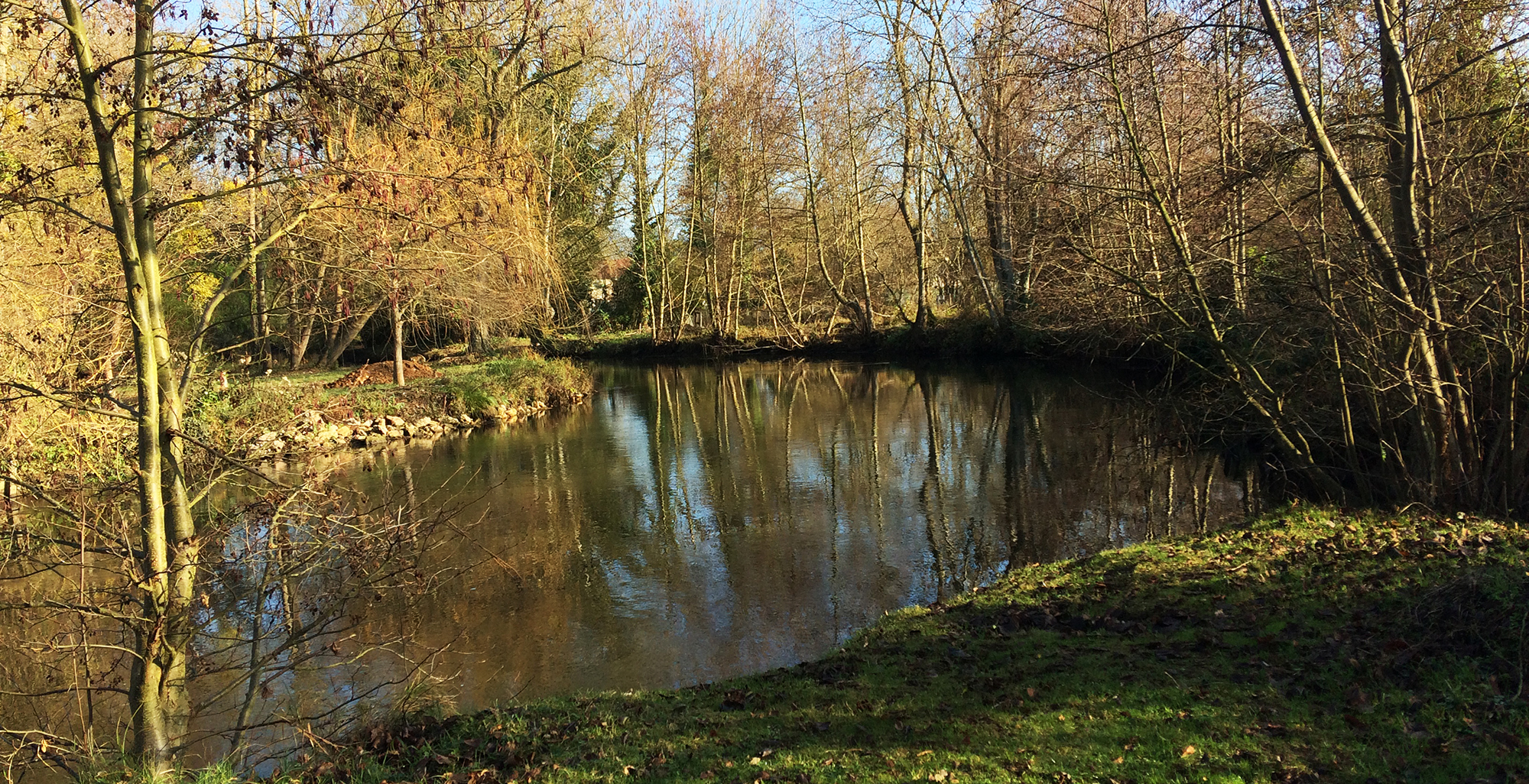 Parc de la Tourbière, bordée par la Juine