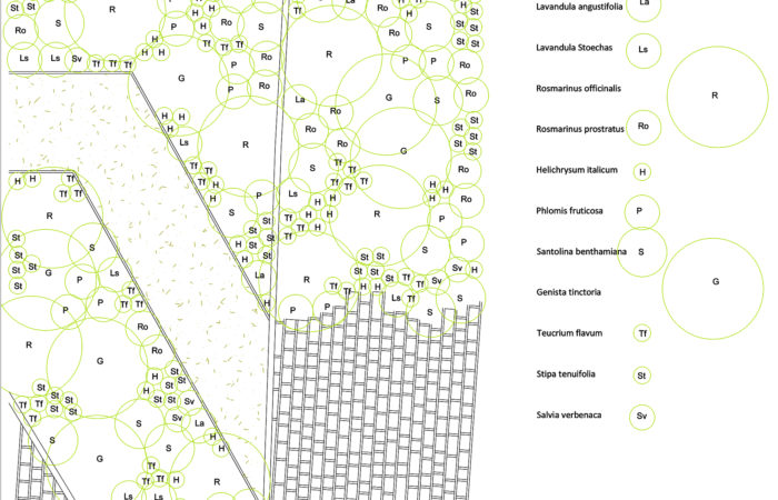 villeneuve-plan de plantation détaillé-jardin sans arrosage