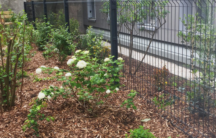 paris13-jardin sans arrosage-mai21