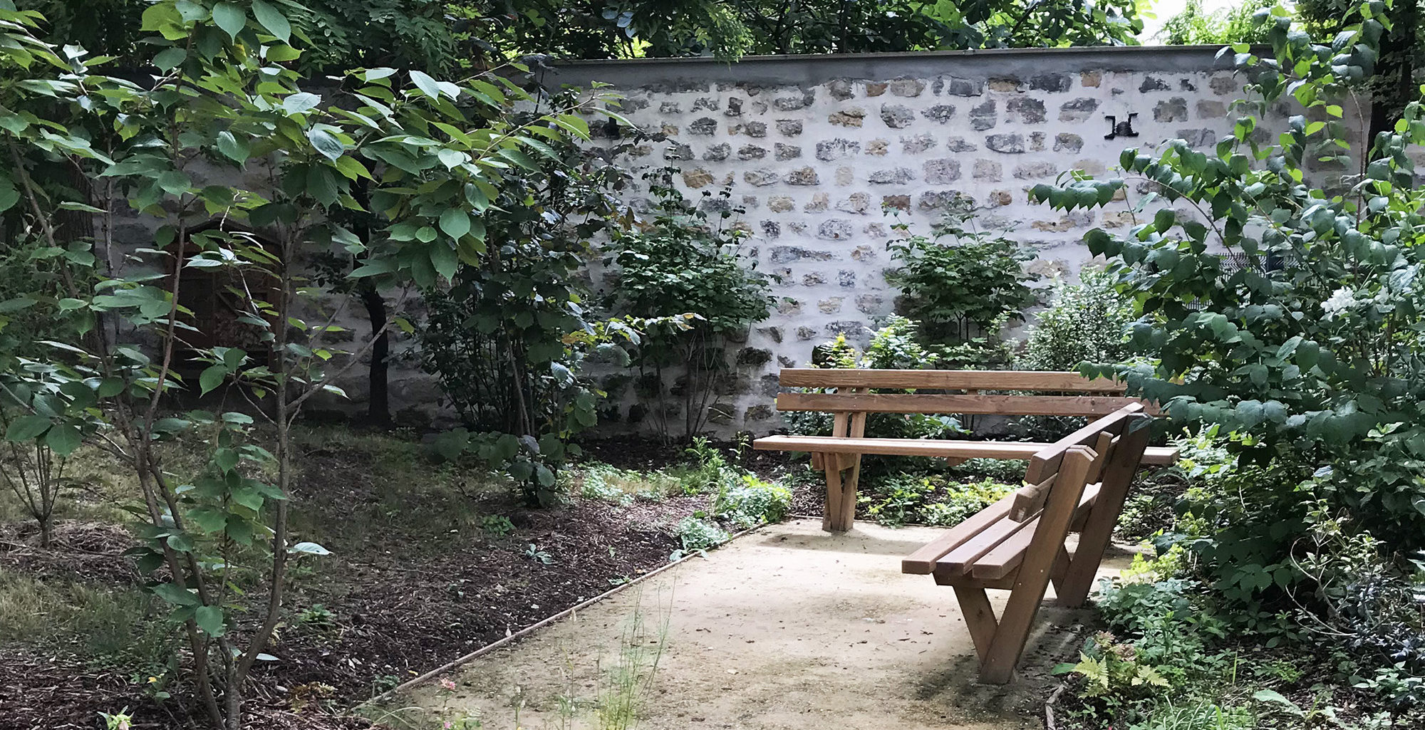 Placette entre grands arbres conservés et haie champêtre plantée