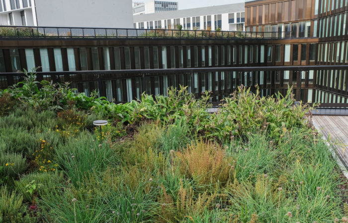 touzet-terrasse-potager plantes aromatiques