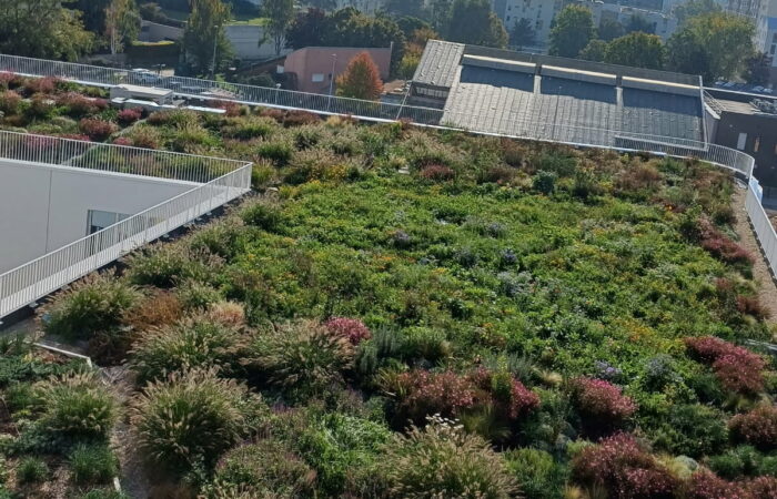 hlr-1000m2 toiture végétalisée hlr-1000m2 toiture végétalisée
