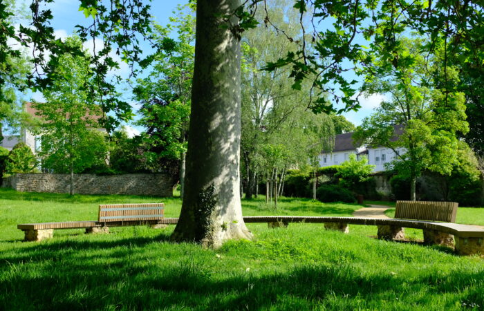 bruyeres-valorisation grands arbres-cs